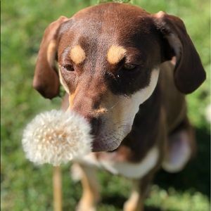 Meet your Posher, Aliza